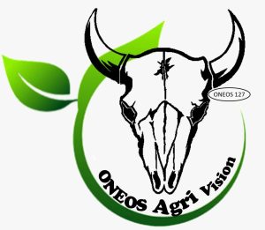 https://oneosagrivision.co.za/wp-content/uploads/2023/07/cropped-unnamed.jpg